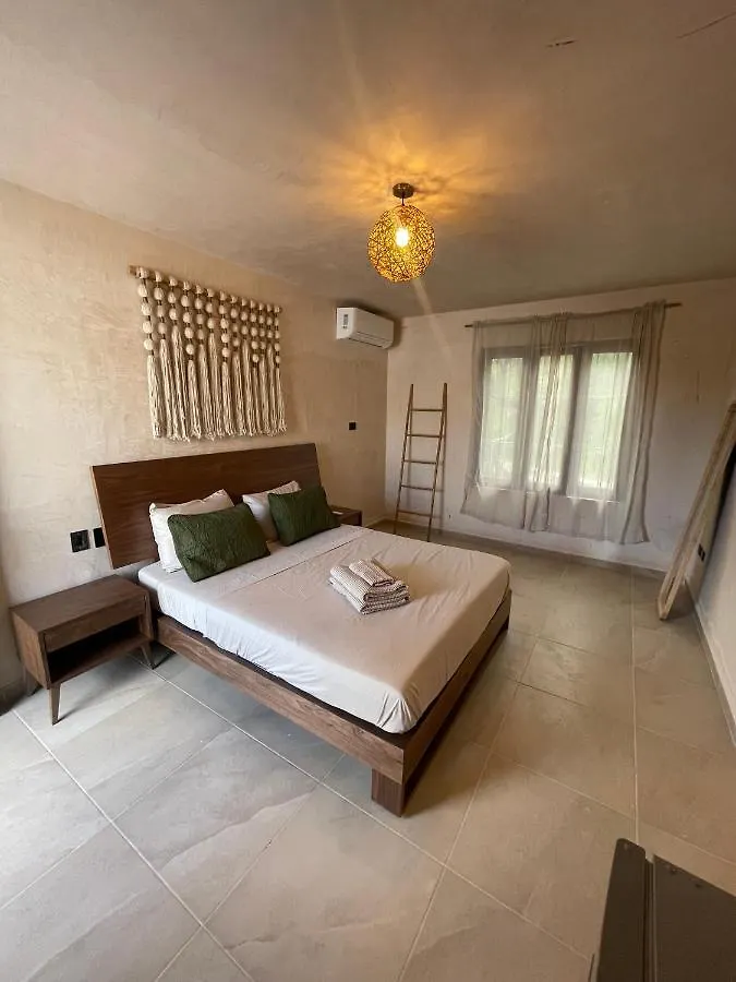 بيت ضيافة كانكون Casa Boutique Tucan Downtown