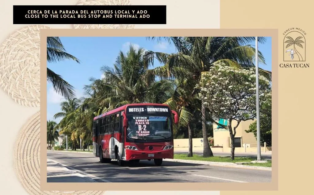 بيت ضيافة كانكون Casa Boutique Tucan Downtown